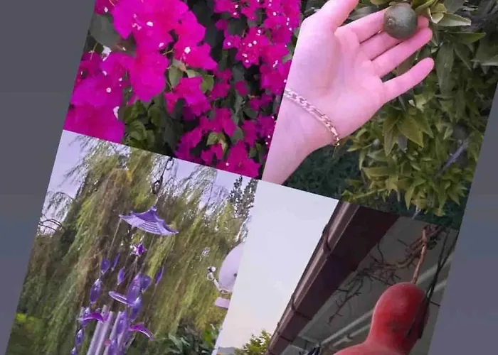 Dalyan Baysal Konaklari Vilă Okcular